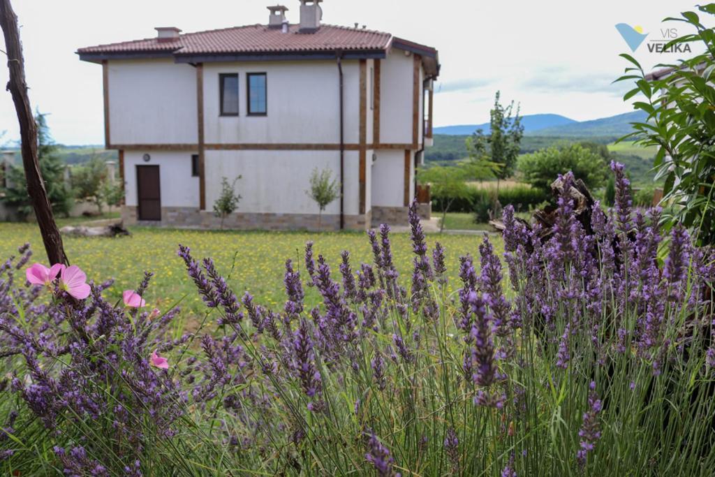 Bed and Breakfast Vis Welika Zewnętrze zdjęcie